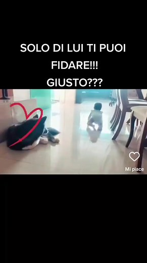 753K views · 10K reactions | Carpe Diem - Cogli L'attimo on Reels | Facebook