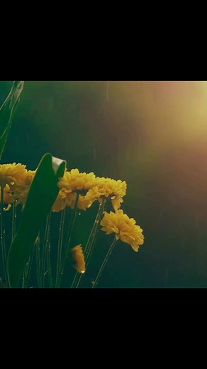 25K views · 557 reactions | Hard times can test our faith and...