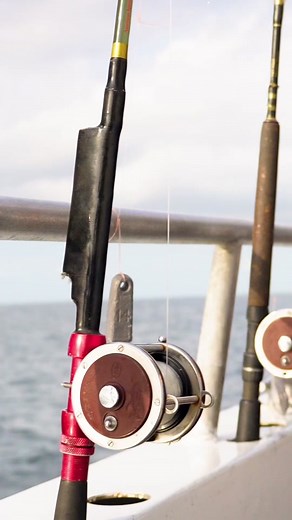 IslanderResort on TikTok