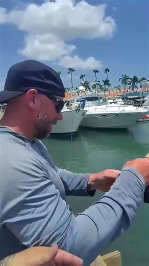 Monster Tarpon in Aruba
