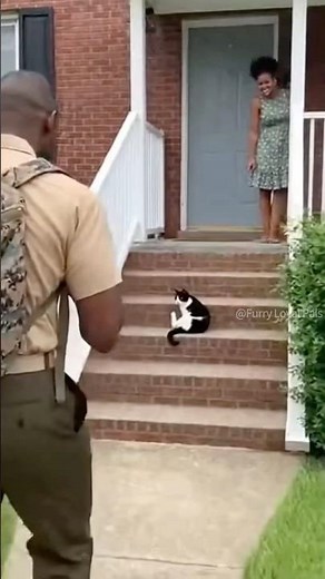 😹 🐈‍⬛ Funny! Cat freezes then zooms to Dad! #cat