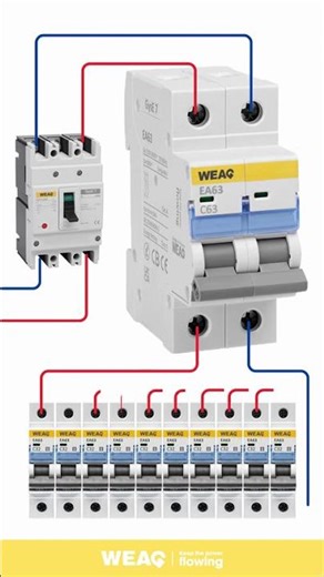 MCB Distribution Board Setup: MCCB to 10 Circuits.