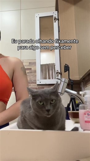 Os vídeos de Gata Pink (@minhagatapink) com New Home - Slowed - Austin Farwell