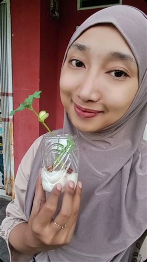Pertumbuhan dan Perkembangan Makhluk Hidup - Nadia Sariratu R