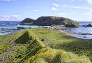 Macquarie Island