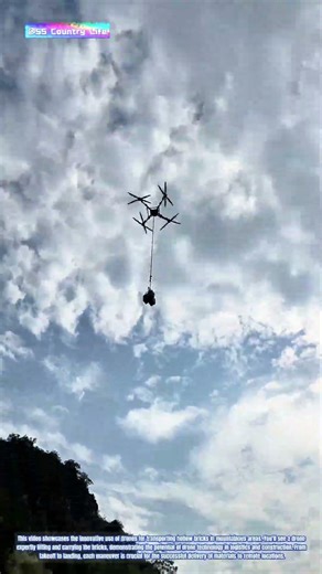 Lifting the Load: Transporting Hollow Bricks with Drones