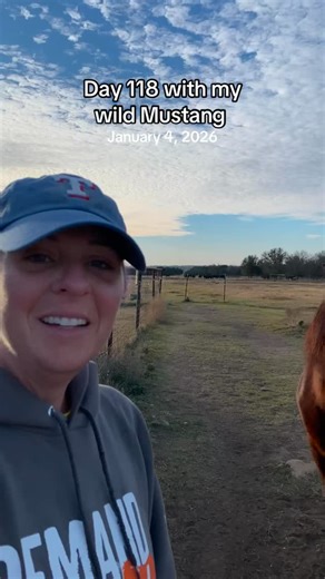 Day 118 with Taavi the Mustang! It was Sunday Funday, so we hauled out to a friend’s for a field trip for ride 3. I wasn’t planning on riding Taavi off property this soon, but he’s clearly been more than ready. We had a lot of fun obstacles to play around with, so I saddle him up and walked him through everything on the ground first. The only things he balked at were the hay ring obstacle, pool noodles, and the flag. He almost seemed bored going through all of the “crazy” obstacles, so I figured