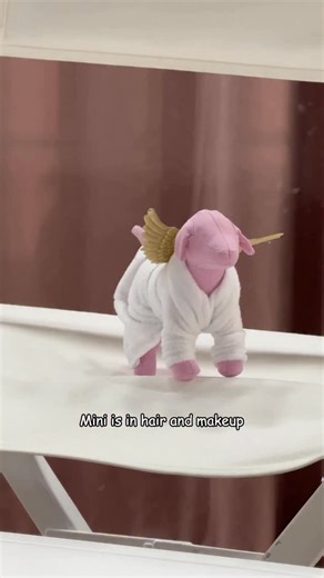 Victoria's Secret PINK on Instagram: "Proof that you can do anything you set your mind to. Mini’s journey to the runway wasn’t easy, but she made it! Show her your support and tune into the Victoria’s Secret Fashion Show tomorrow at 7PM ET. 💖"