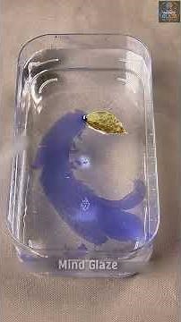 12 Amazing Science Experiments That Look Like Magic 🤯 | You Won't Believe #11!