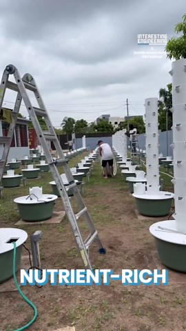 What Are the Benefits of Vertical Farming?