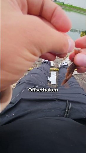 Angeln auf Barsch am Hafen - mit dem PERCH GO KIT #jaeger #fishing #barsch #angeln #perch