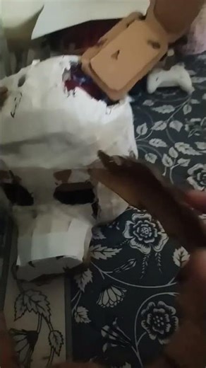 spring trap head cosplay