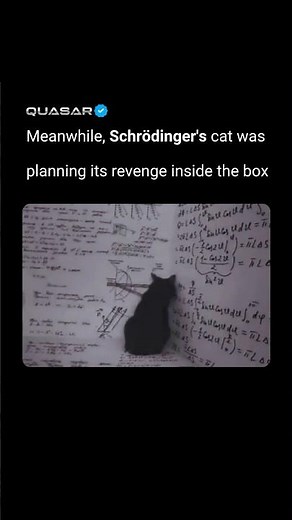 Meanwhile, Schrödinger’s cat inside the box.