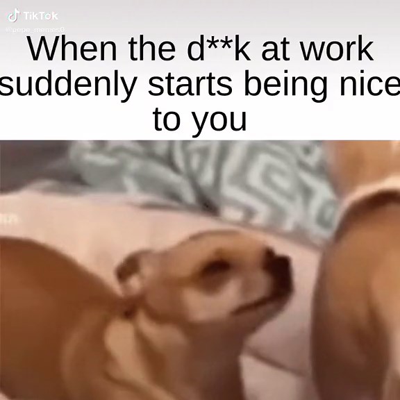 Pepe memes on TikTok