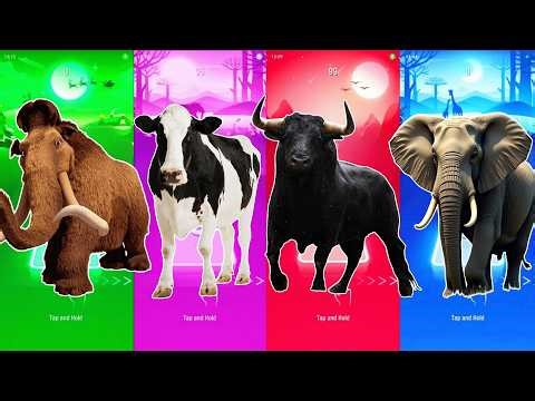 Funny Ice Age 🆚 Funny Cow 🆚 Funny Bull 🆚 Funny Elephant 🆚 Tiles Hop EDM Rush