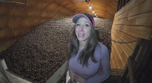 Bells Farming -- The end of potato harvest 2024. See the last days in the field and how storage fills up.