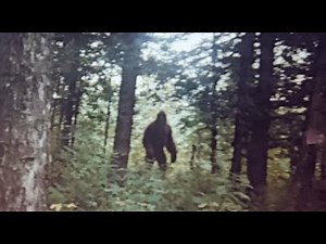 1 MINUTE AGO: This Lady Captures The Scariest BIGFOOT Footage In Existence!!