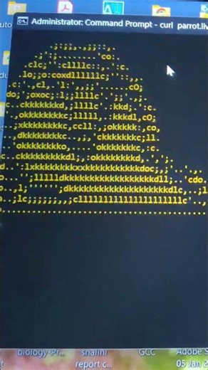 Comment for the prompt of cmd run command #cmd #runcommand #windows #windows11 #windows10