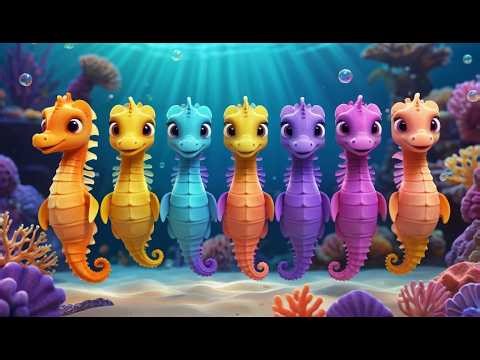 Cinq petits hippocampes qui tournent, tournent | Chansons de l'océan et comptines aquatiques