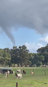 Did you spot the waterspouts spinning across the ocean off Western Australia yesterday? They popped up in the state's south-west due to a cold front moving through the area, while thunderstorms produced one in WA's north. 📷 This one was captured just off Cape Naturalise yesterday by Dennis Johnson. 🌪 What is a waterspout? A waterspout is a spinning column of air that sucks up water, connecting the sea and the sky. They are spectacular but short lived, usually lasting only a few minutes, often 