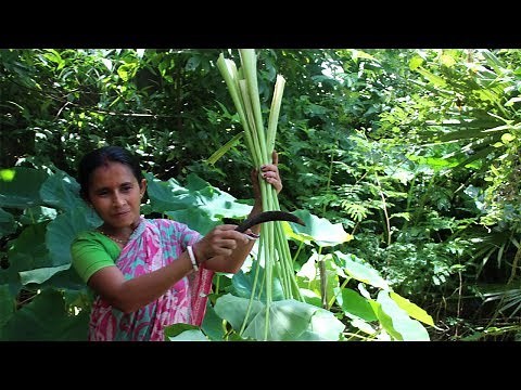 Kochu Shak Recipe- Cooking by my Mother Best Process | Taro Leaf Recipe Indian Bangali Food