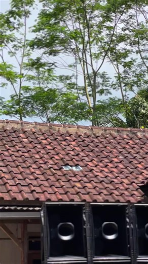 Di caringne cek ra ngekukrus😁😅#soundsistemjawatimur #soundsystemmalang #soundhoregjawatimur #toabrutal #fyp