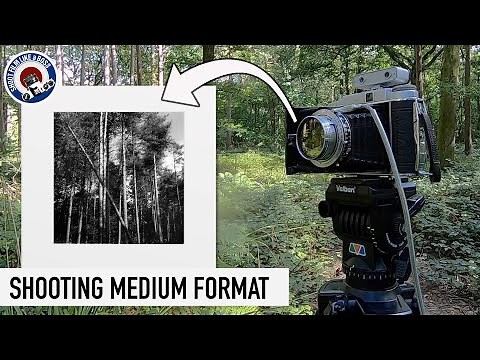 Medium Format Film Photography - 6X6 Woodland Negatives and Darkroom Prints