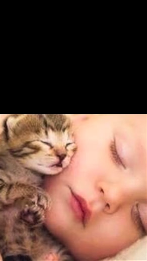 Musi 🩶 | #cat #reels #islam #cats_of_instagram | Instagram