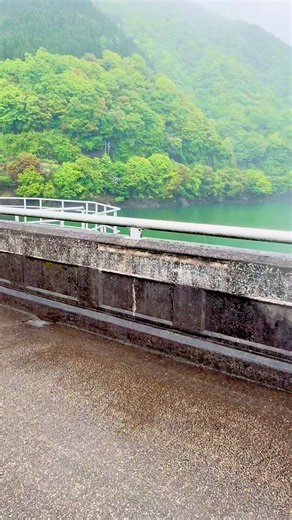 #岐阜県周遊ダム巡り揖斐方面編 横山ダム③ 土砂降りなので傘をさしながら撮影、シンドイが雨模様も乙な体験