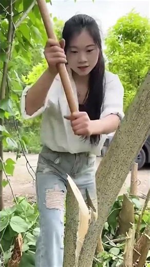 Tree felling process using titanium steel axe