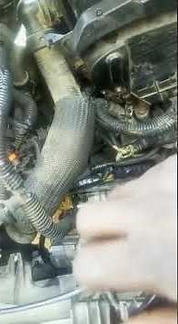 Ford escape transmission range sensor. 2011,2012,2013 .p0707 p0706