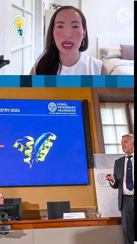 The full list of Nobel Prizes: How many are there and what do they honor?