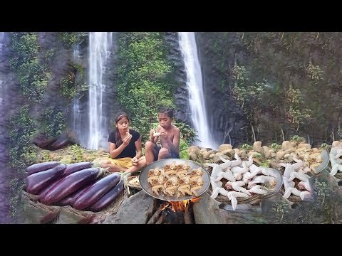 Cooking chicken wings and eggplant with special recipe for lunch