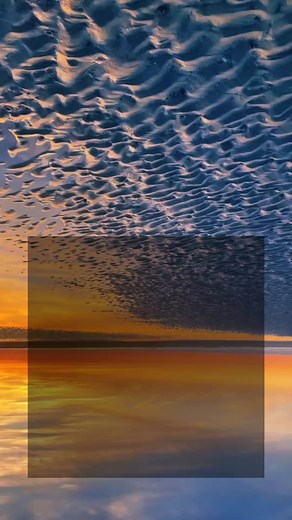 Wilson Choc on TikTok