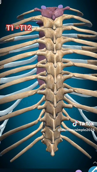 Explore Human Biology: Fascinating Facts and Insights