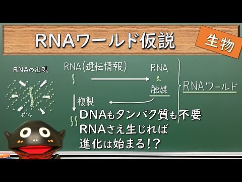 RNAワールド仮説（進化に必要な物質とは？）【005生物】新課程対応