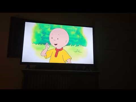 Caillou and the puppies