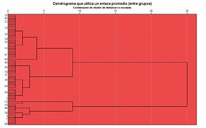 Análisis de Conglomerados con Dendograma - ESTAMÁTICA