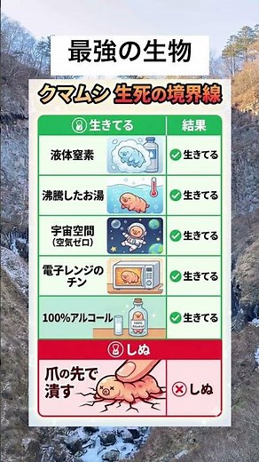 最強の生物 クマムシ #雑学 #プチ知識 #一分でわかる #豆知識 #トリビア