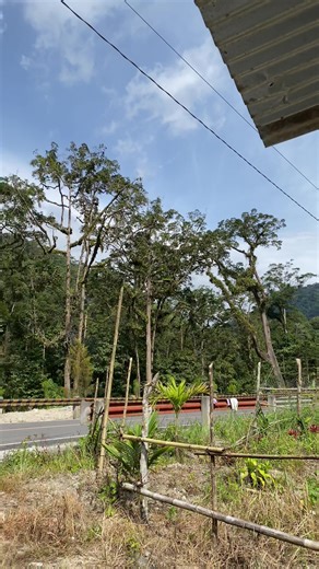 Exploring the Moro Song from Thailand