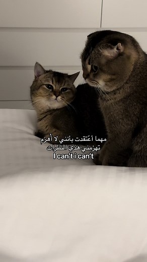 Love Story of BF & GF - Heartwarming Moments