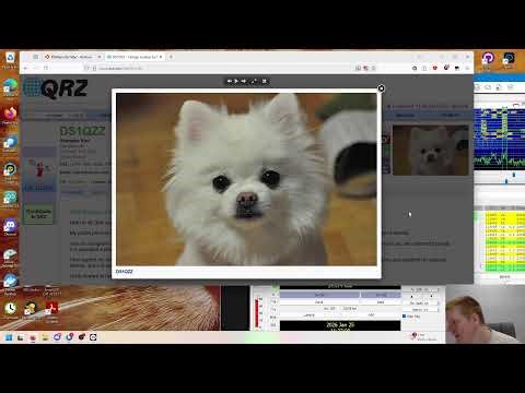 VK RadioWaves Tries Streaming FT8 Live from Australia