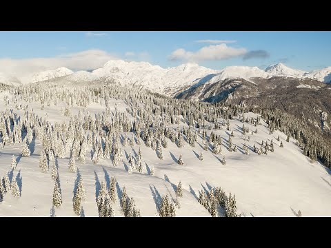 Chronicles Of Narnia | The Winter Landscapes Of NARNIA - Relaxing Narnia Music & Ambience | 4K