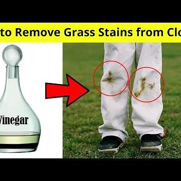 How to Remove Grass Stains from Clothes at Home | Cleaning Hacks