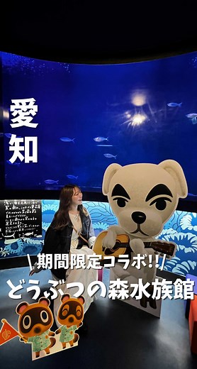 どうぶつの森水族館で懐かしい体験！