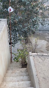 17K views · 287 reactions | village | Fun Time | Facebook