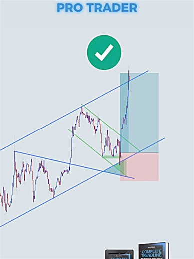 New Trader vs Pro Trader: Key Differences in Forex Trading