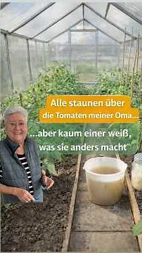 Everyone marvels at my grandma's (81) tomatoes, but hardly anyone knows what she does differently…