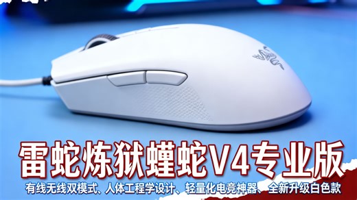 雷蛇（Razer） 炼狱蝰蛇V4pro专业版电竞游戏鼠标有线无线人体工程学吃鸡CF神器轻量化游戏外设 炼狱蝰蛇V4专业版 白色【全新升级】