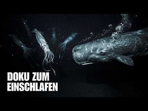 Warum gab es in den prähistorischen Ozeanen so viele Giganten? | Doku zum Einschlafen